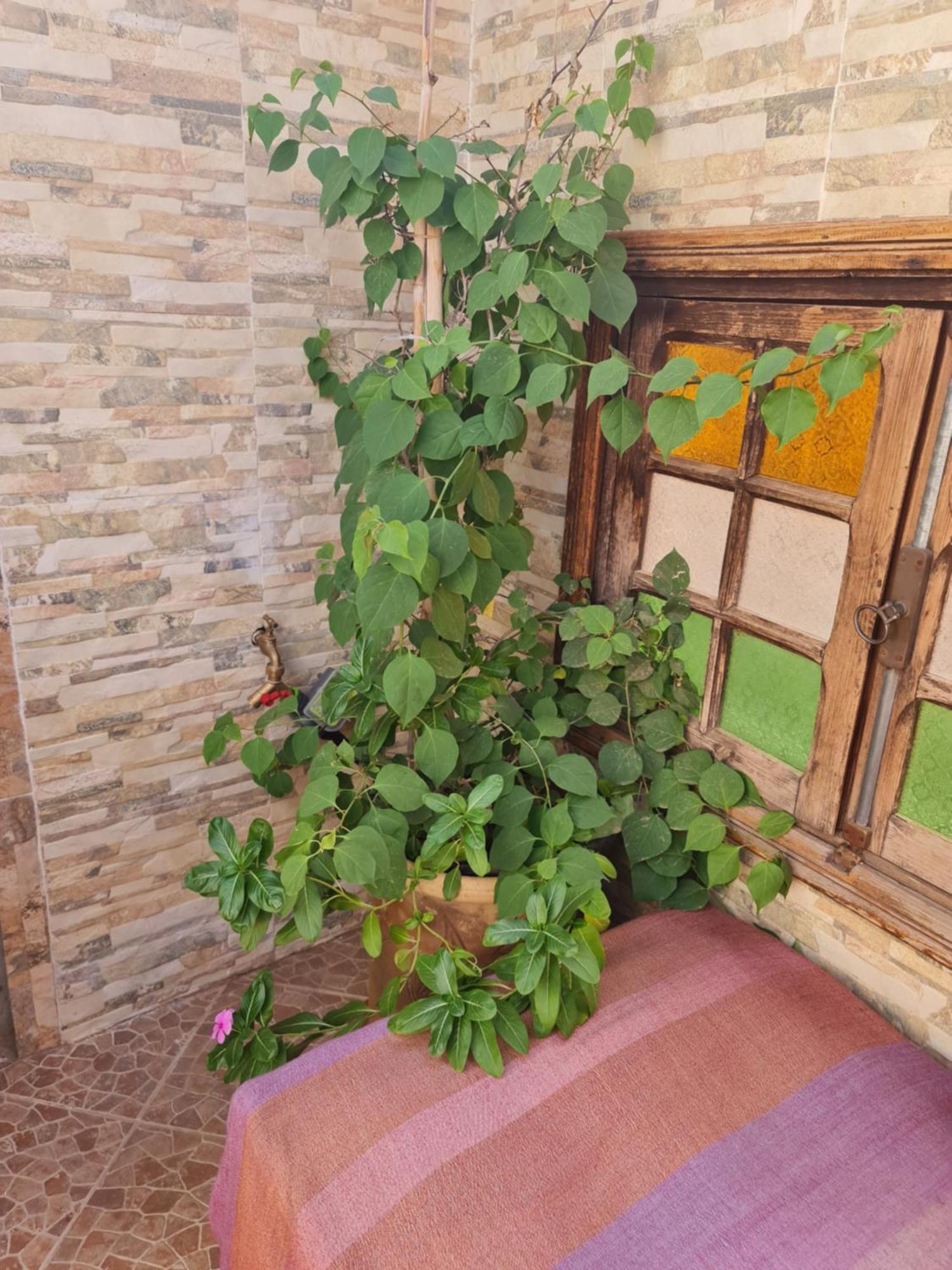 Riad Bab Almadina Marrákes Kültér fotó